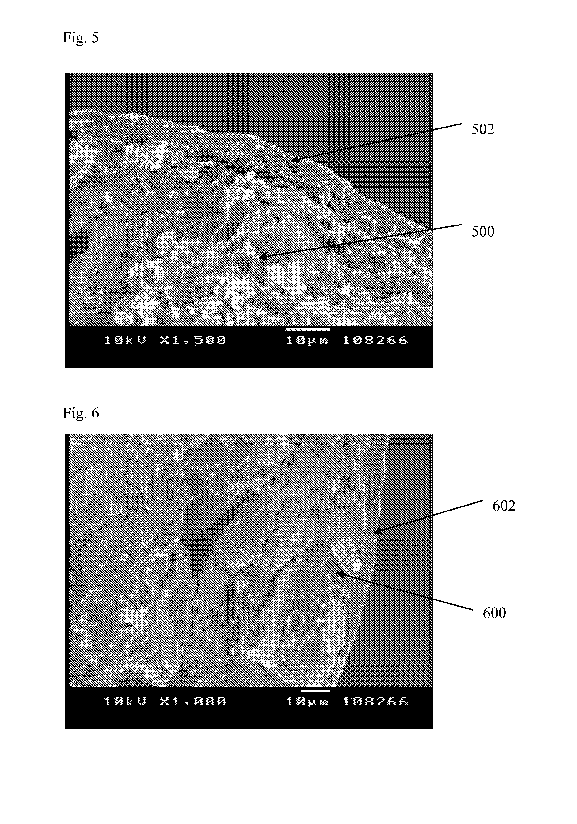 Hydrophilic matrix beadlet compositions with enhanced bioavailability