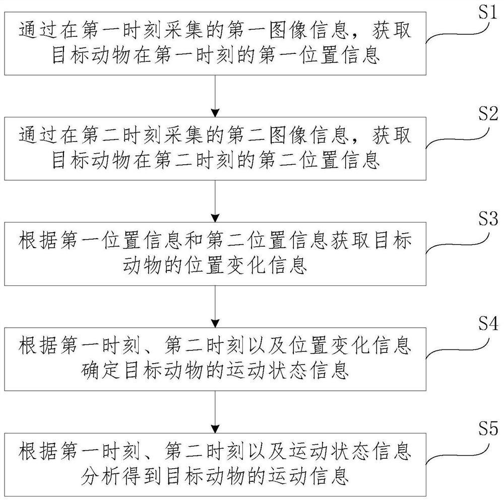 Data processing method and system for animal motion information statistics