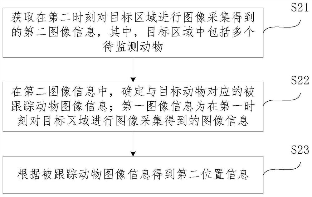 Data processing method and system for animal motion information statistics