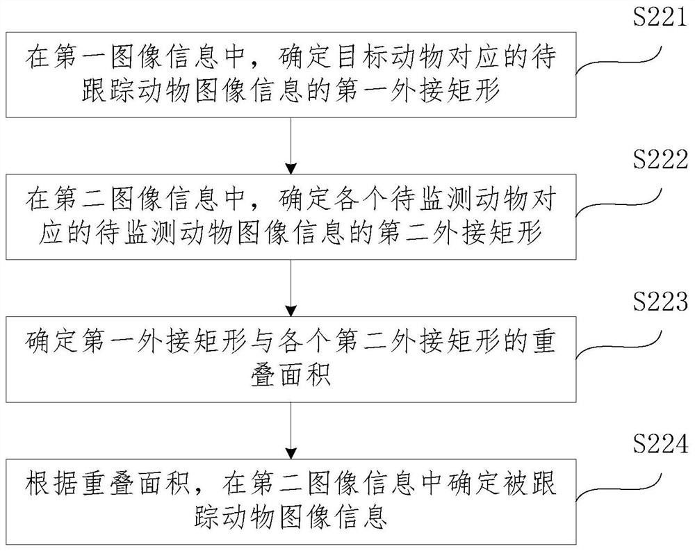 Data processing method and system for animal motion information statistics