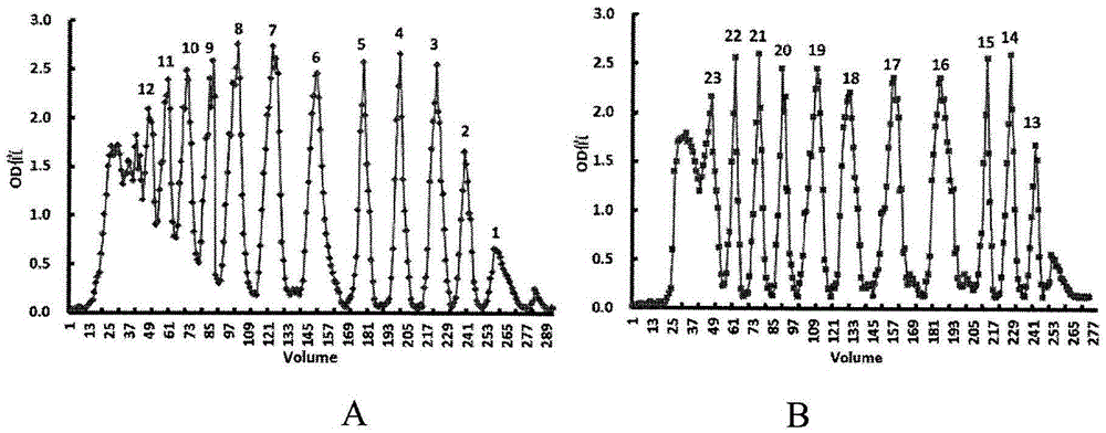 Application of sodium alginate oligose and derivative to treatment of pain