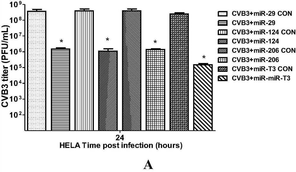 Multi-tissue restriction type coxsackie group B type III virus inserted with miRNA complementary sequence and application thereof