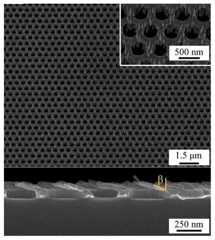 sers-spr dual-mode sensor and its preparation method and application