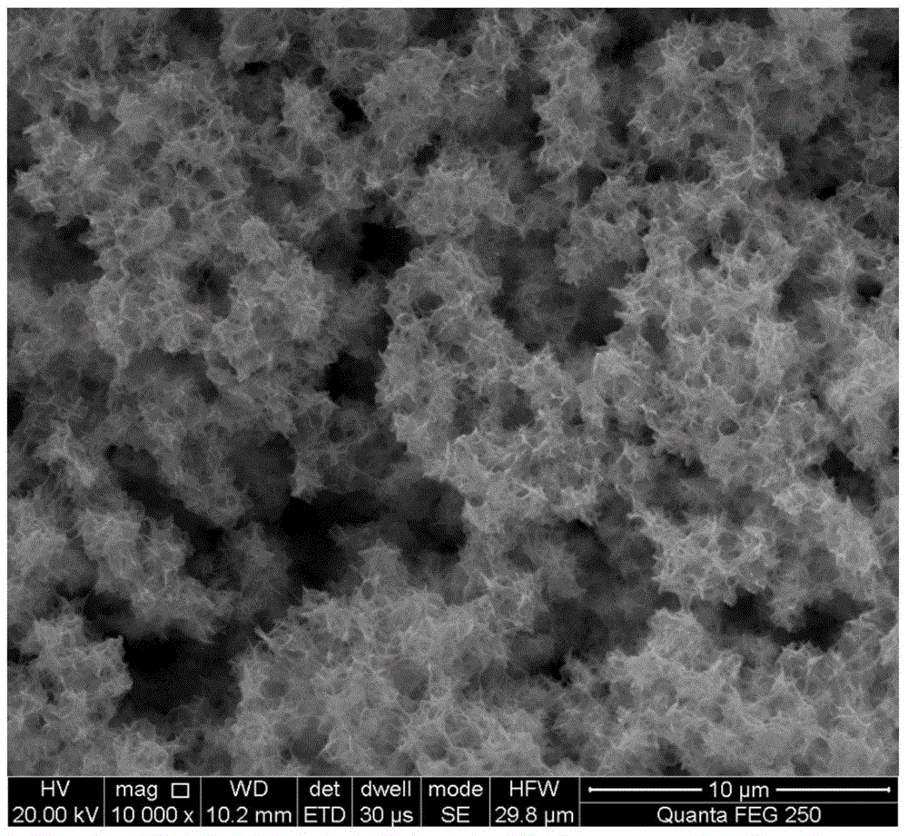 Method for simultaneously preparing biosorbent and flocculant for heavy metal adsorption and product thereof