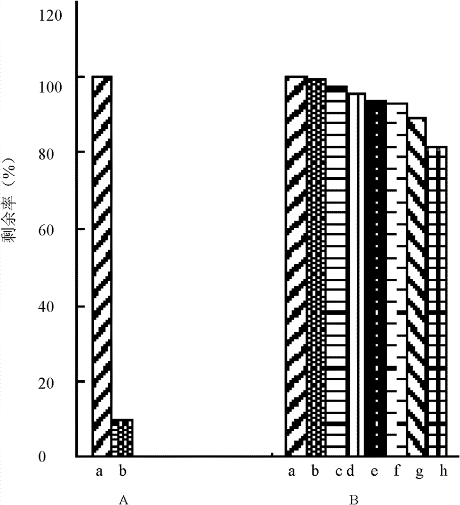 Application of collagen matrix as tissue engineering scaffold