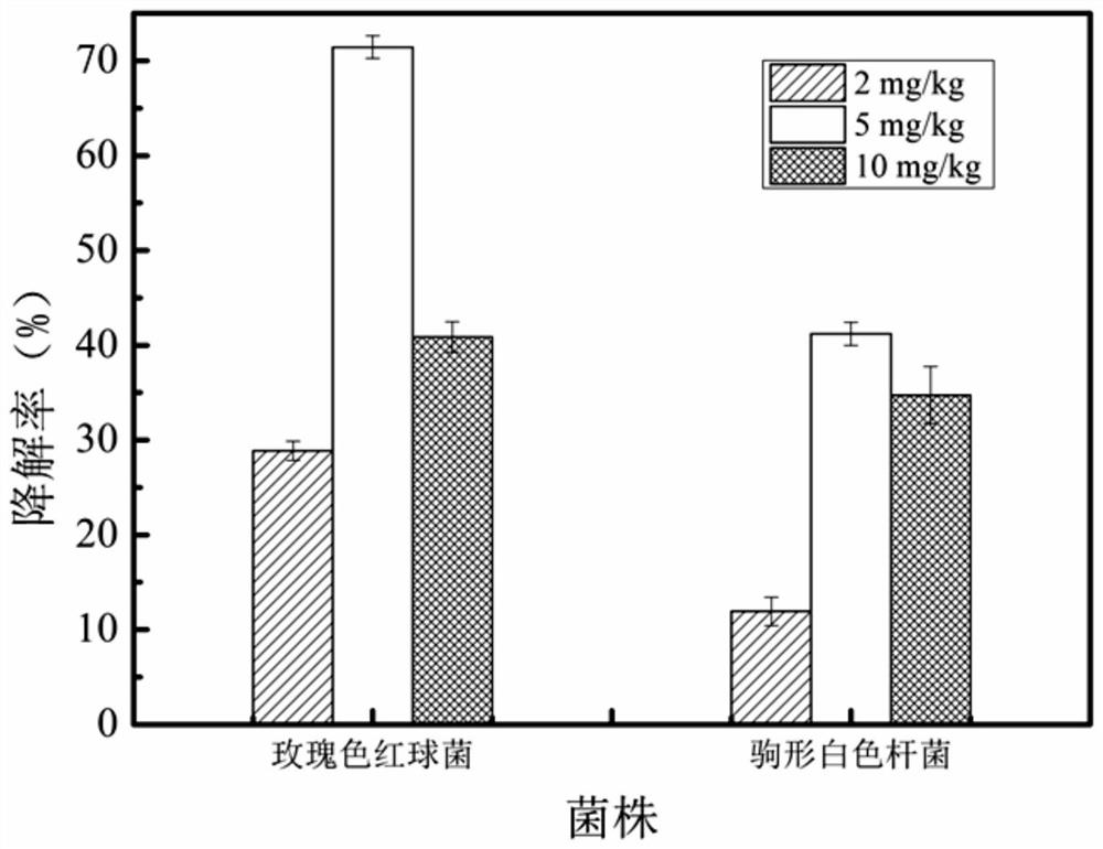 A strain of Rhodococcus rhodochrous that efficiently degrades cyhalothrin and its application