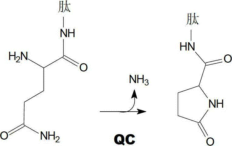 Heterocyclic inhibitors of glutaminyl cyclase (QC, EC 2.3.2.5)