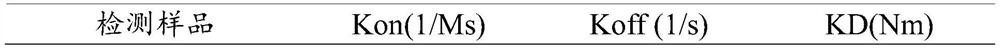 A kind of ildr2 antibody, its pharmaceutical composition and use thereof