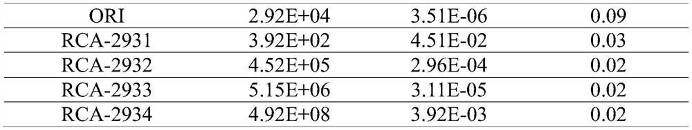 A kind of ildr2 antibody, its pharmaceutical composition and use thereof