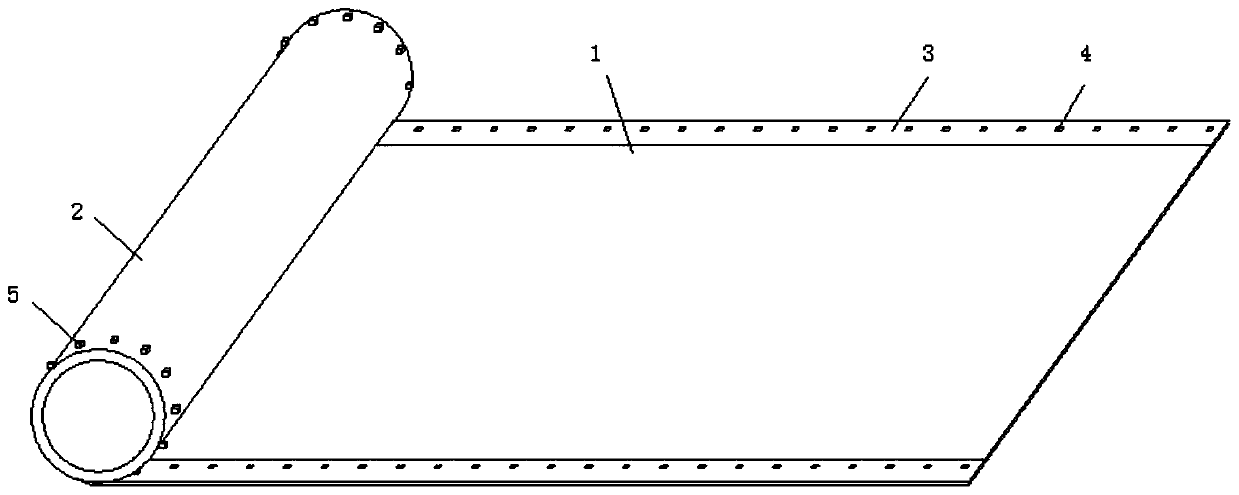 Rollable display device