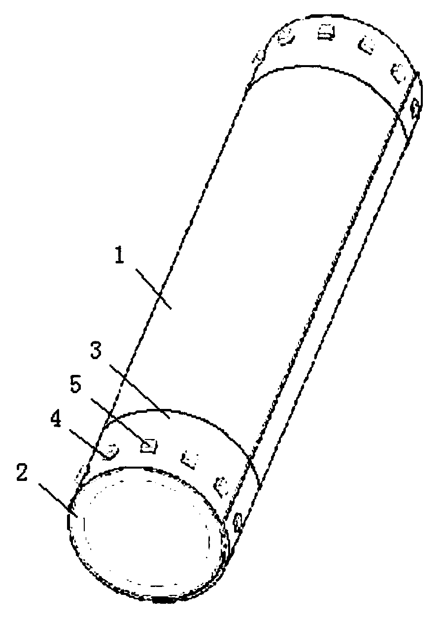 Rollable display device