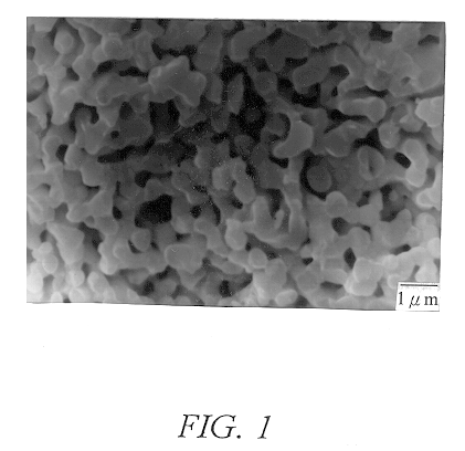 Preparation of translucent strontium barium niobate ceramics using reaction sintering