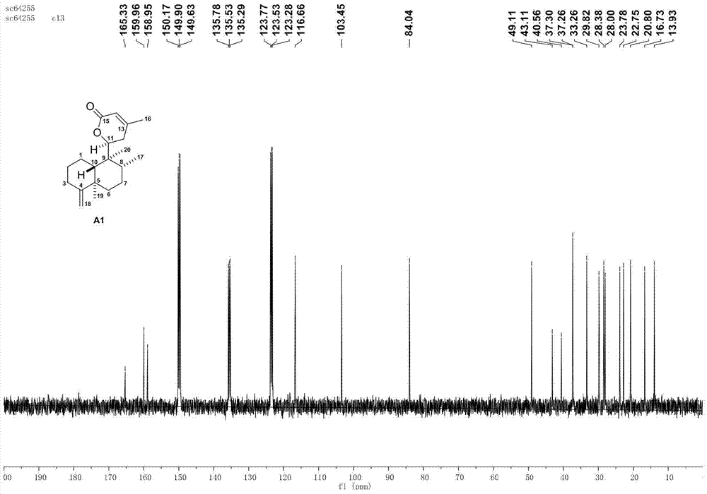 A kind of asymmetric cyclobutane derivative and its preparation method and application