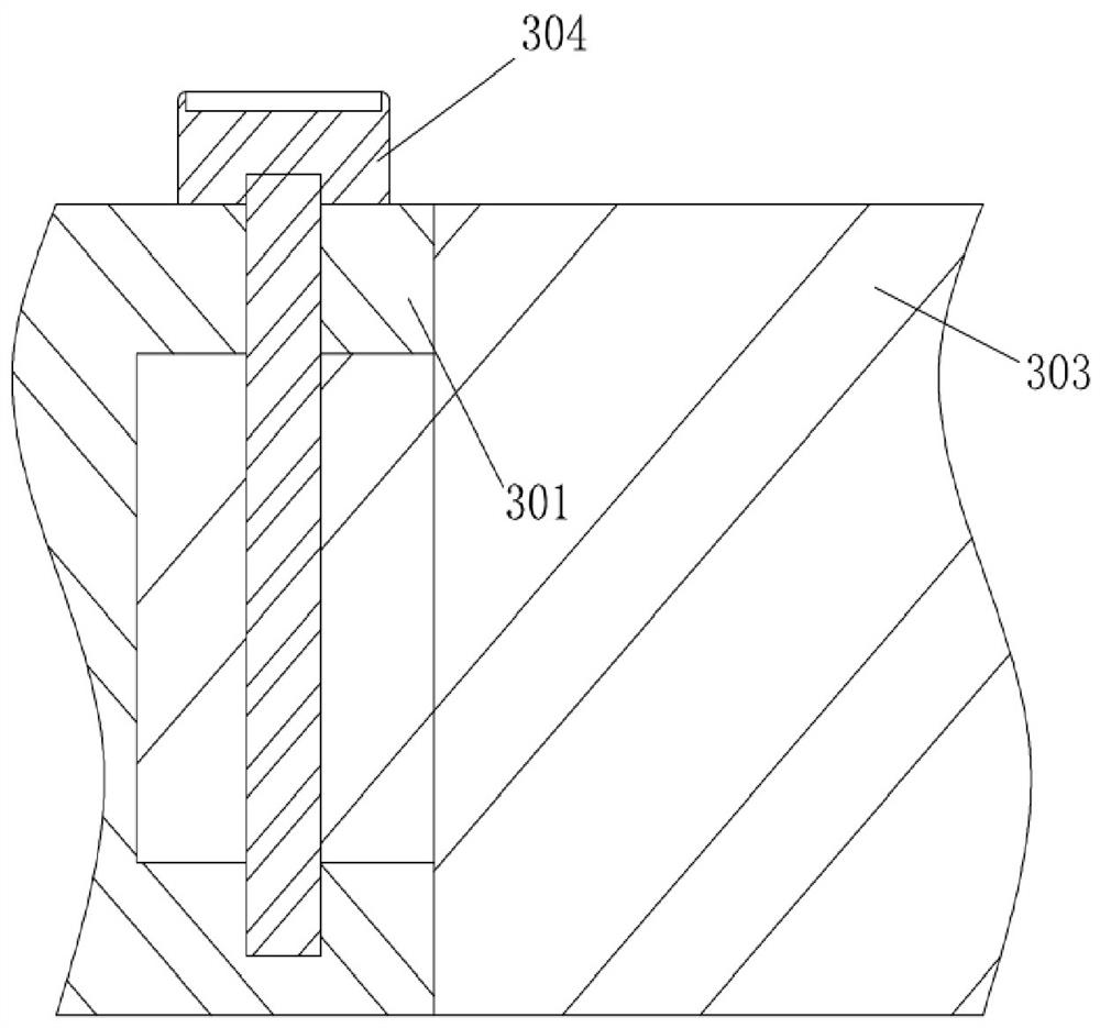 A packaging device for garlic processing