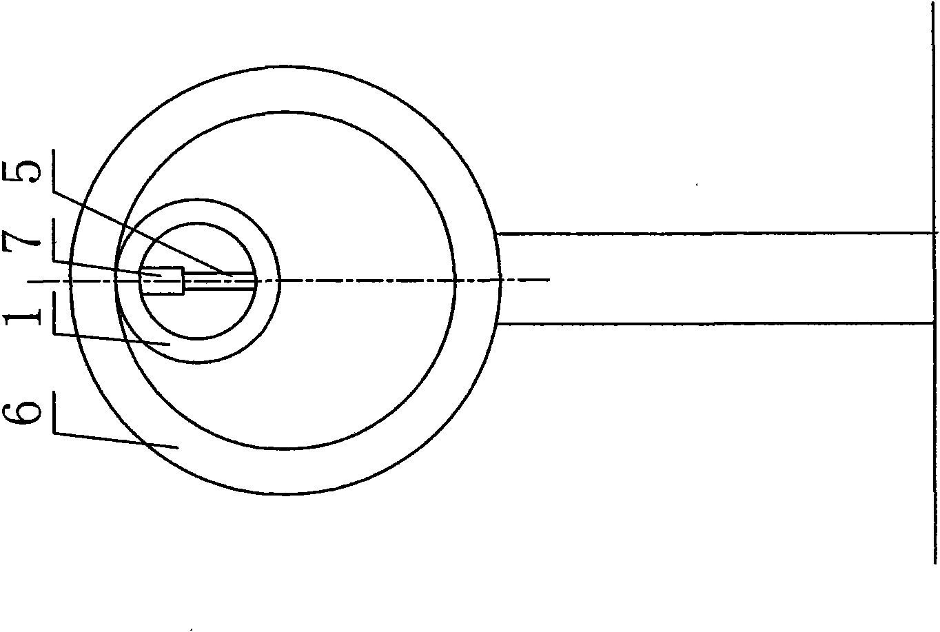 Automatic air releasing device of vehicle inner tube