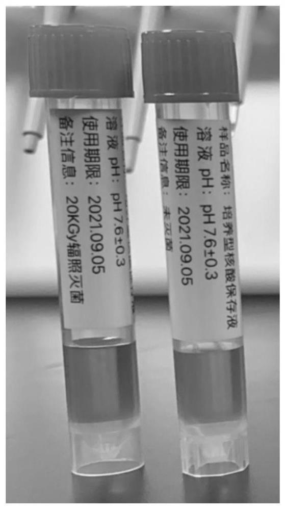 Culture type virus preserving fluid capable of being sterilized by irradiation