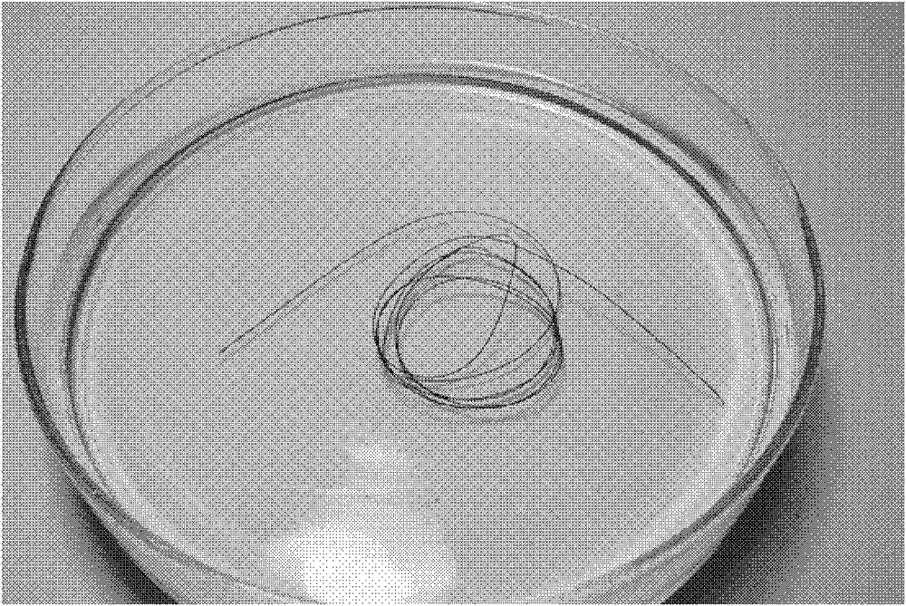 Preparation method for graphene fiber