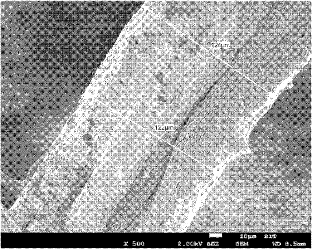 Preparation method for graphene fiber