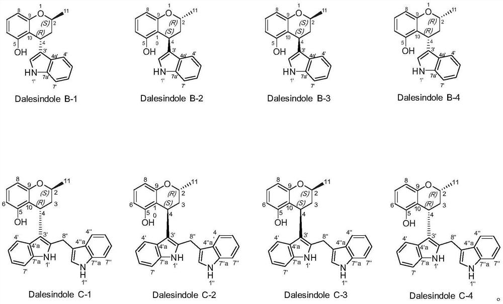 Polyketide indole alkaloid and its preparation method and application