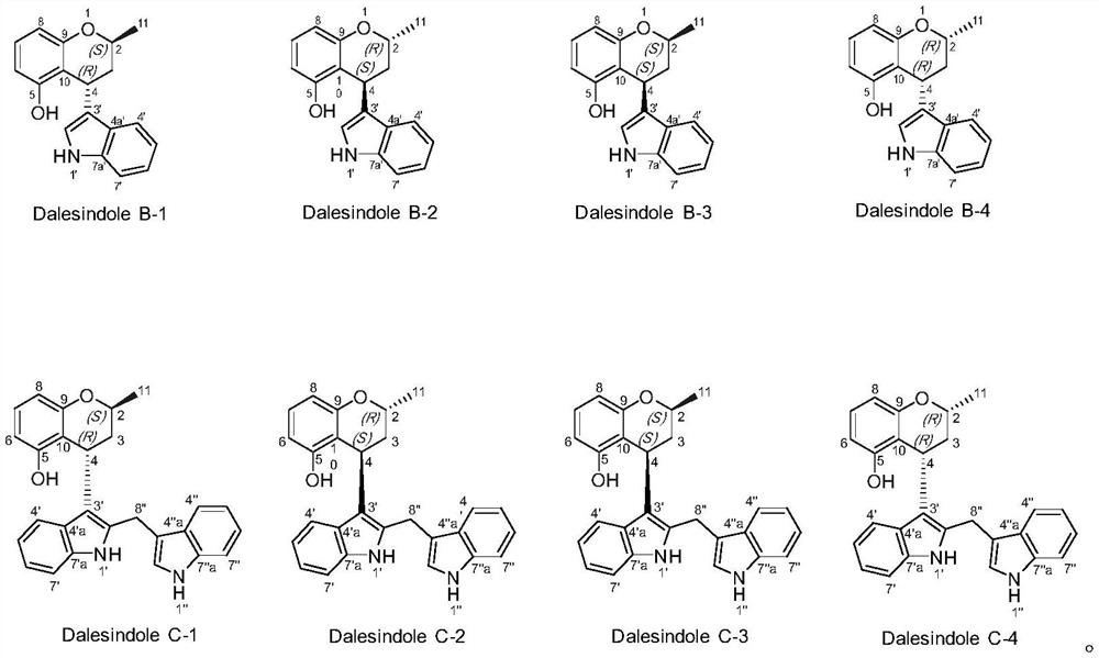 Polyketide indole alkaloid and its preparation method and application