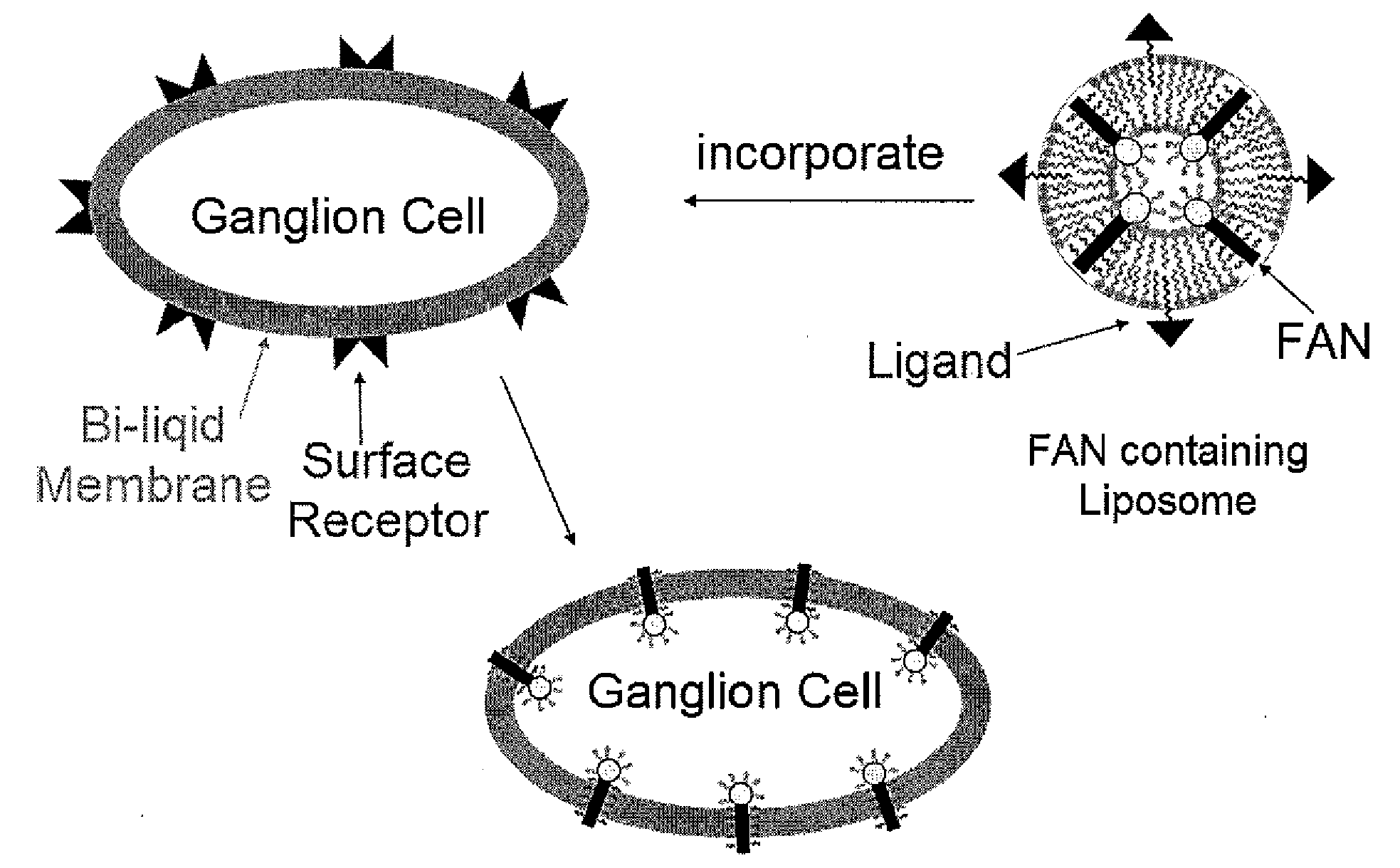 Functional abiotic nanosystems