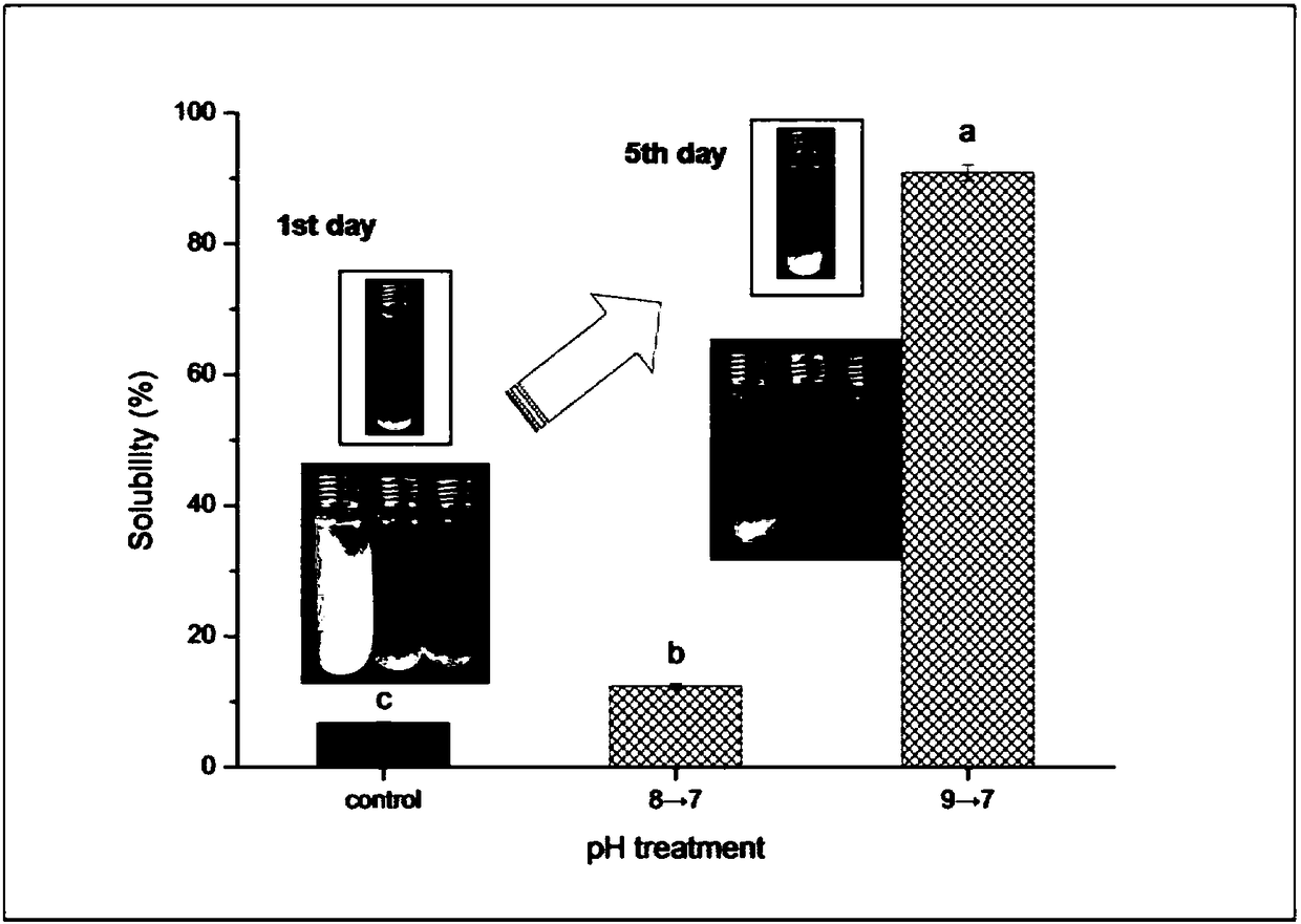 Soluble protein aggregation nanoparticle preparation method and application