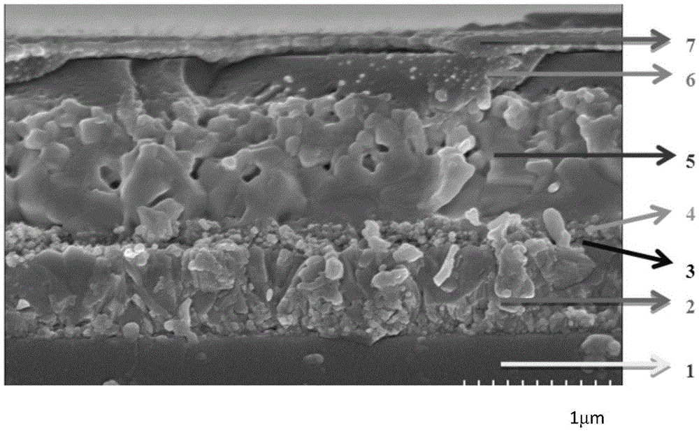 Perovskite solar cell and preparation method thereof