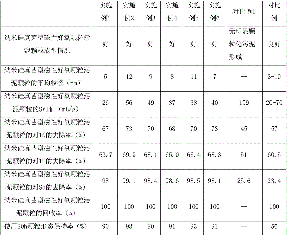 Method of preparing nano-silicon fungi type magnetic aerobic granular sludge and application