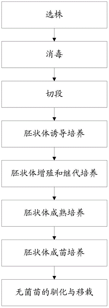 Cultivation method for regeneration of sapindus mukorossi gaertn. strain