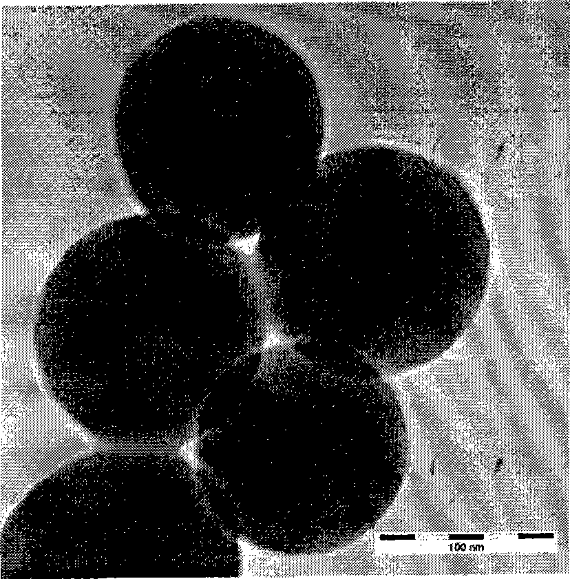 SiO2/Au nano material with nucleocapsid structure-biological protein medicament complex and preparation method thereof