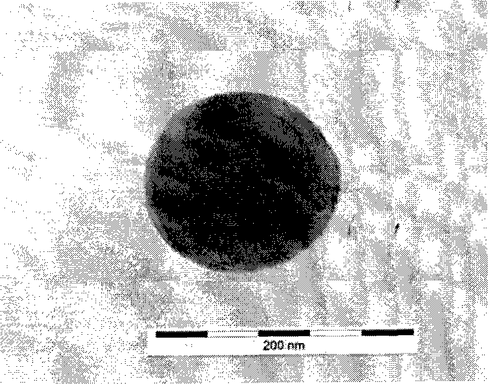 SiO2/Au nano material with nucleocapsid structure-biological protein medicament complex and preparation method thereof