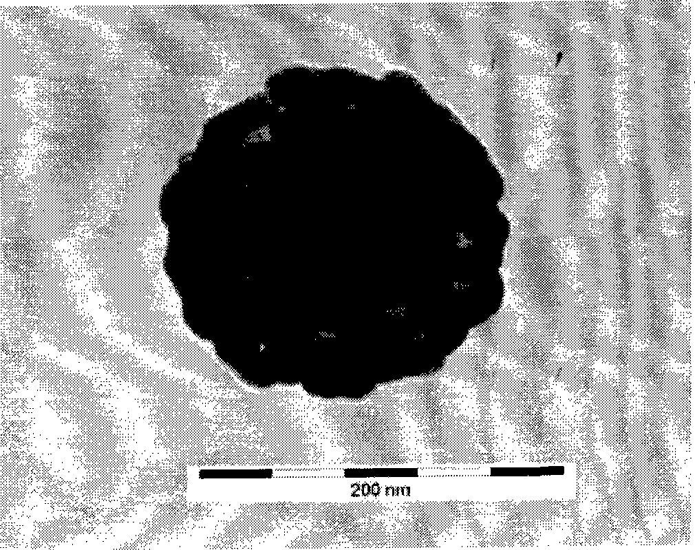 SiO2/Au nano material with nucleocapsid structure-biological protein medicament complex and preparation method thereof