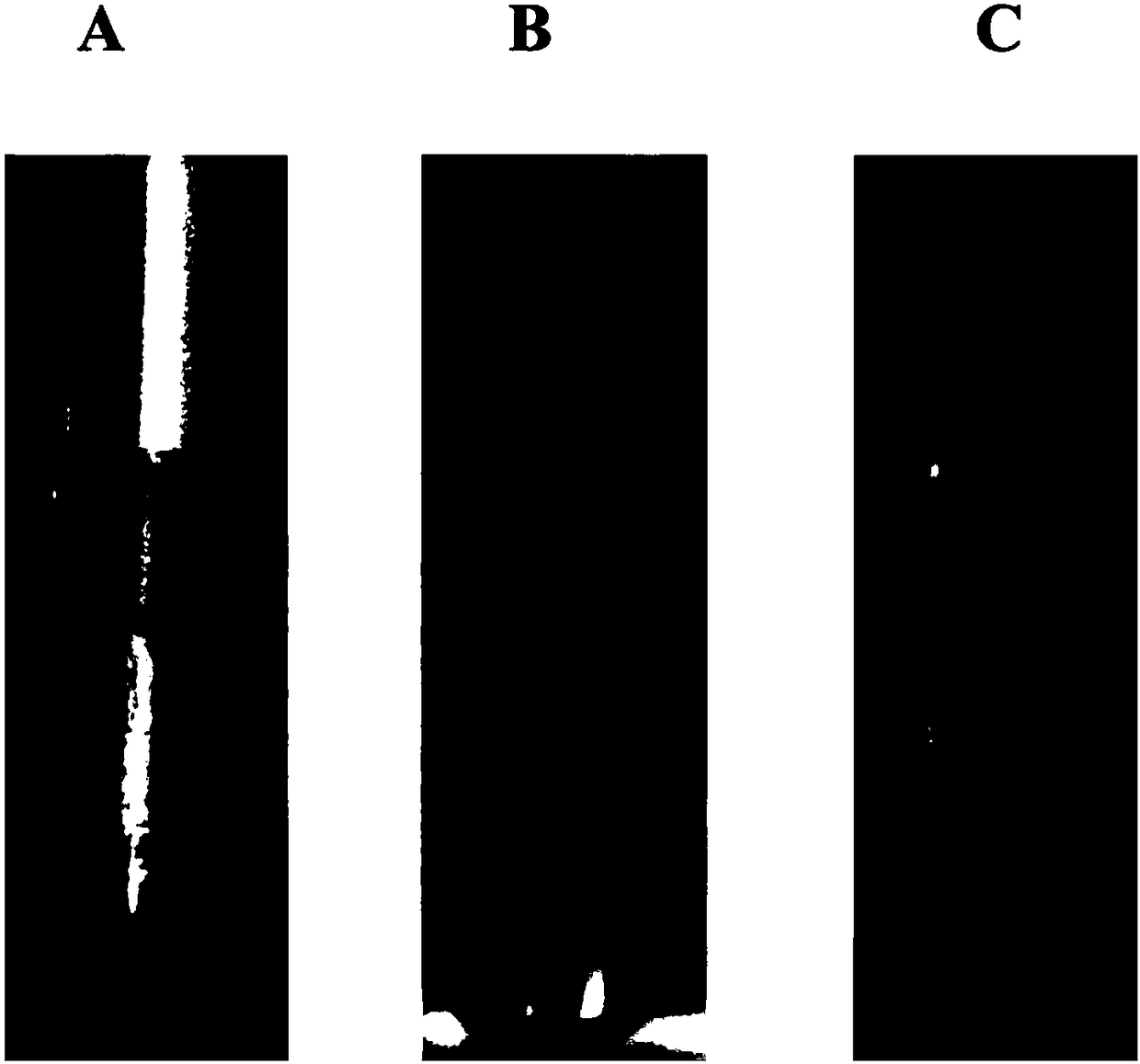 Preparation method of gold nanoparticles, gold nanoparticles and application