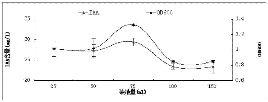 A peanut rhizosphere growth-promoting bacterium hs11 and its application