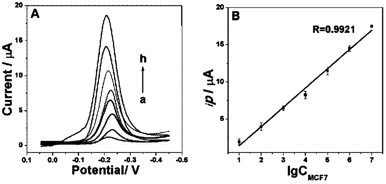 Circulating tumor cell detection probe, preparation method and applied diagnostic sensor