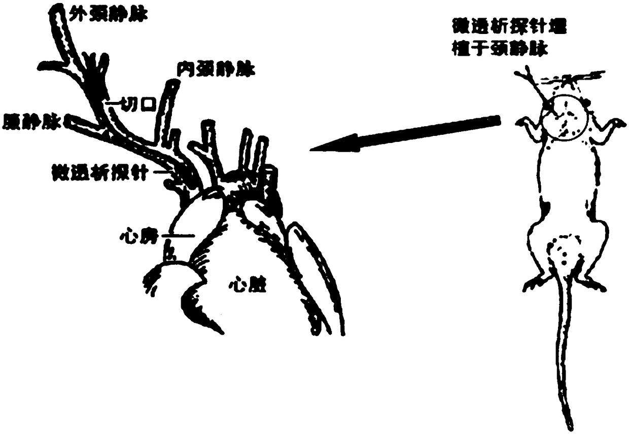 Blood dialysate detection method, and application thereof in pharmacokinetics-pharmacodynamics of pulse activating injection