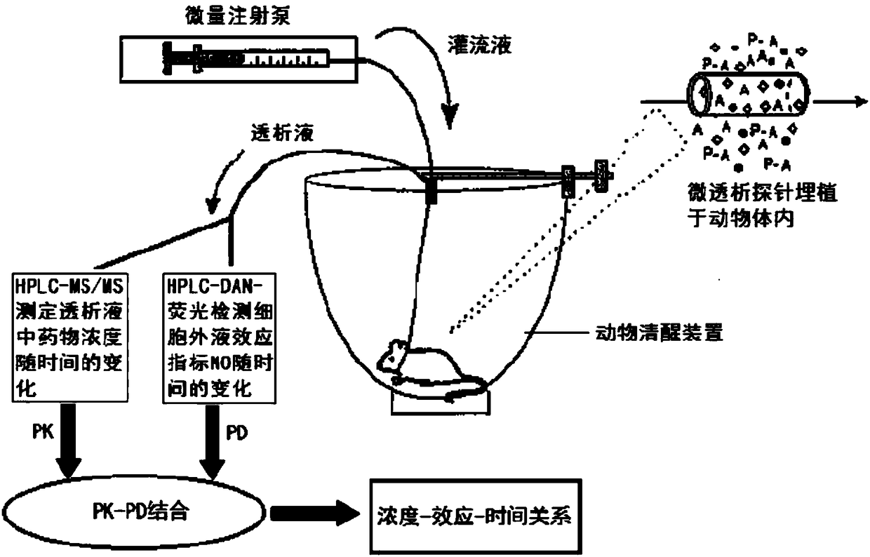 Blood dialysate detection method, and application thereof in pharmacokinetics-pharmacodynamics of pulse activating injection