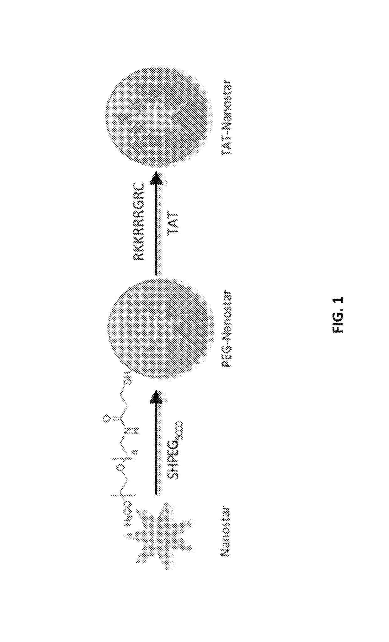 Plasmonics-active metal nanostar compositions and methods of use