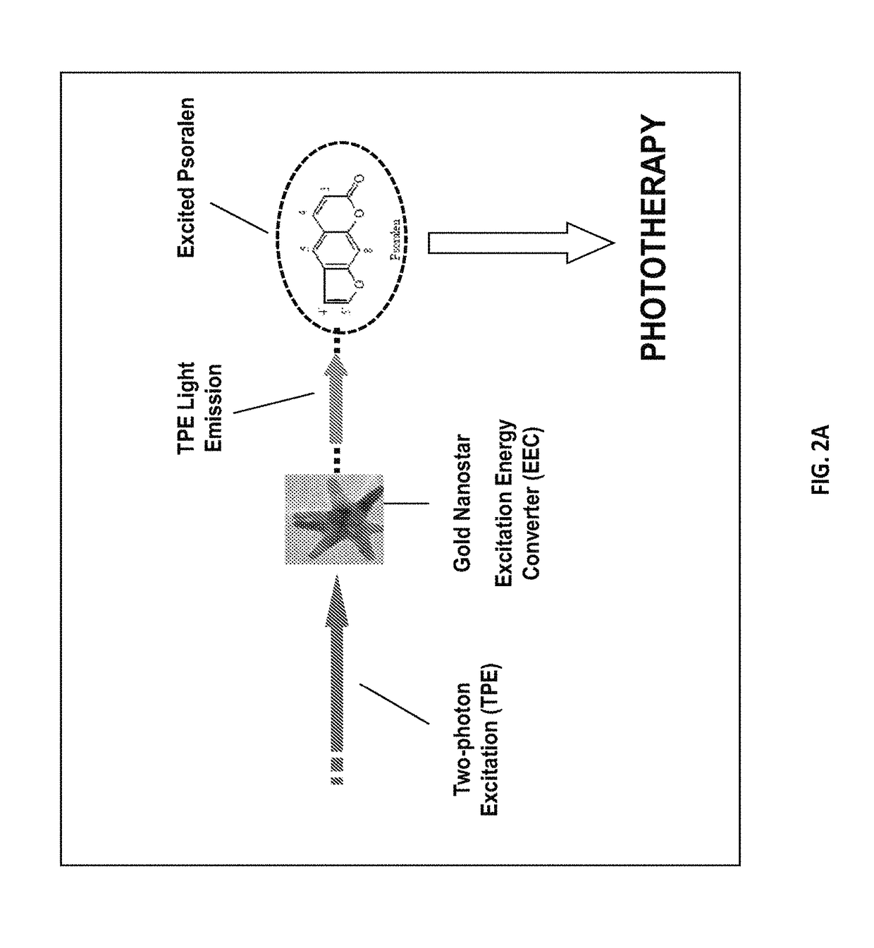 Plasmonics-active metal nanostar compositions and methods of use