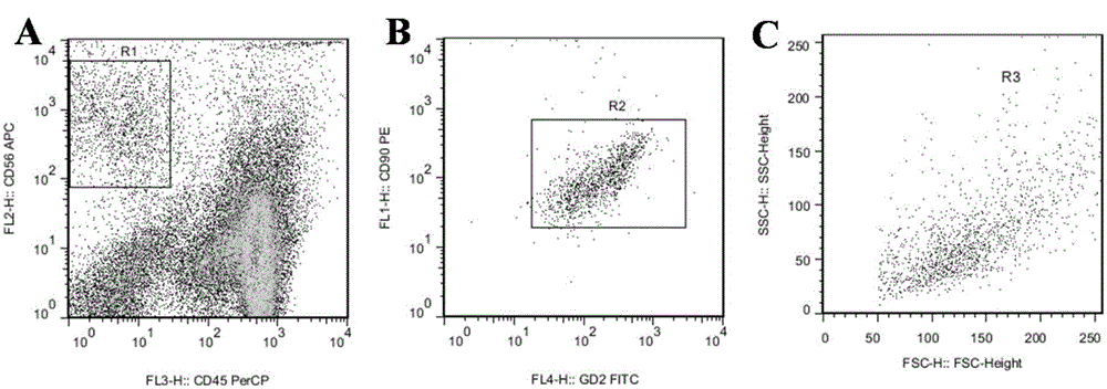 Fluorescent probes and kits for differential diagnosis of rhabdomyosarcoma and neuroblastoma bone marrow metastasis and leukemia by flow cytometry