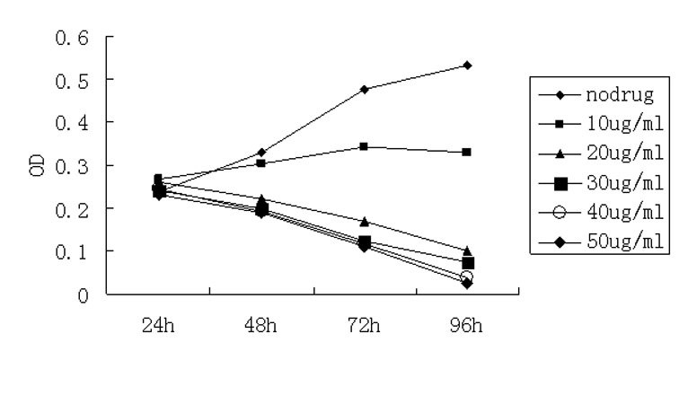 Nitroxyl radical anti-tumor medicaments