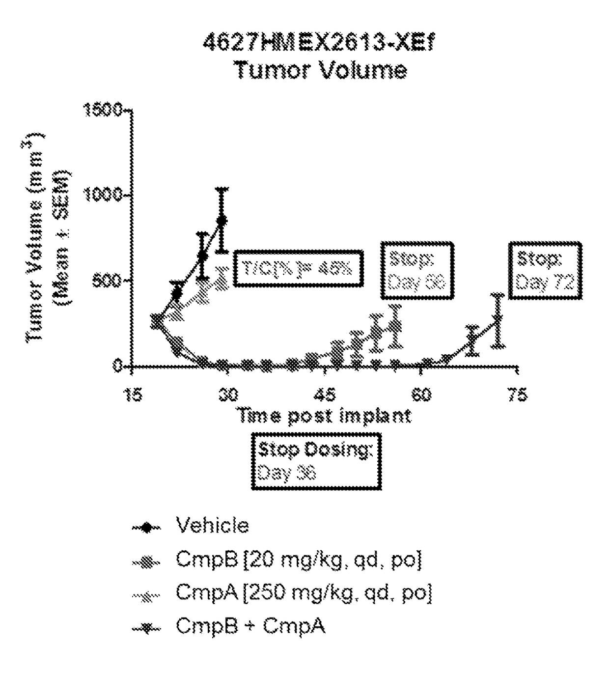 Pharmaceutical combinations of a CDK4/6 inhibitor and a B-RAF inhibitor