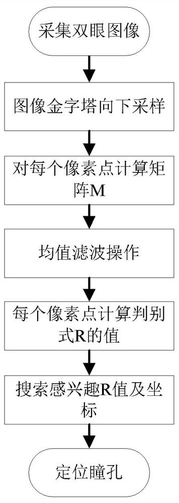 Double-eye iris image acquisition method and device based on single camera