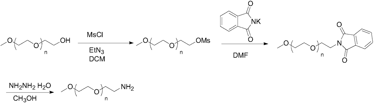 Preparation method of mPEG-amine