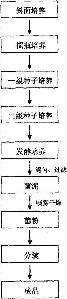 Microbial compound preparation and preparation method thereof