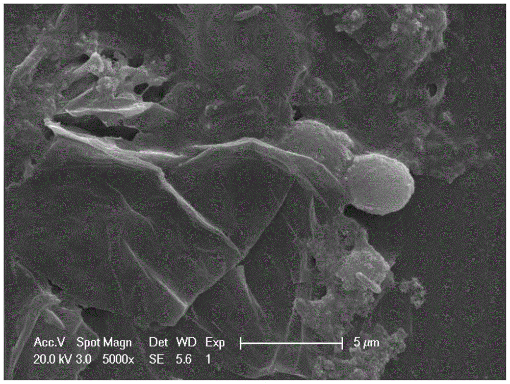 A kind of method of graphene oxide composite algae removal