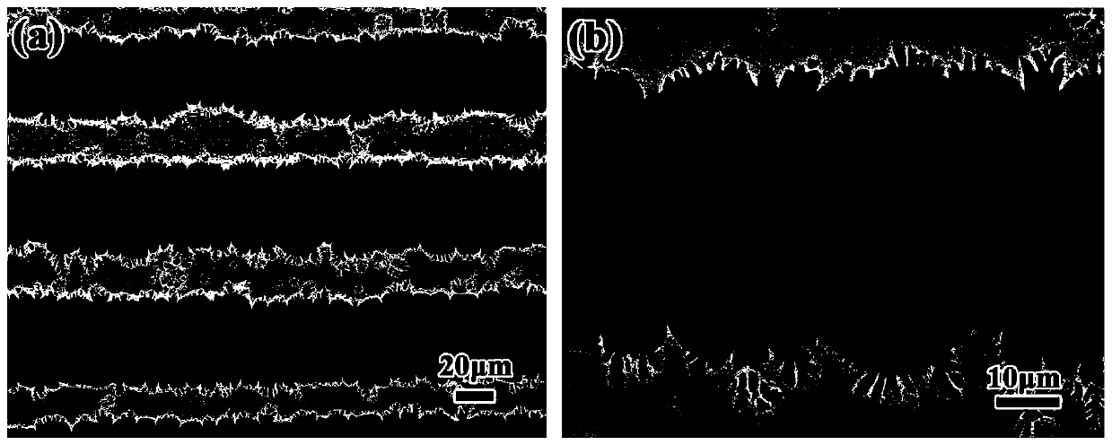 Titanium-based amorphous/titanium alloy layered composite material and preparation method thereof