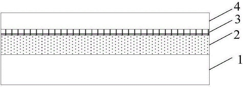 Transparent conductive thin film and placode and touch screen and making method thereof and display device