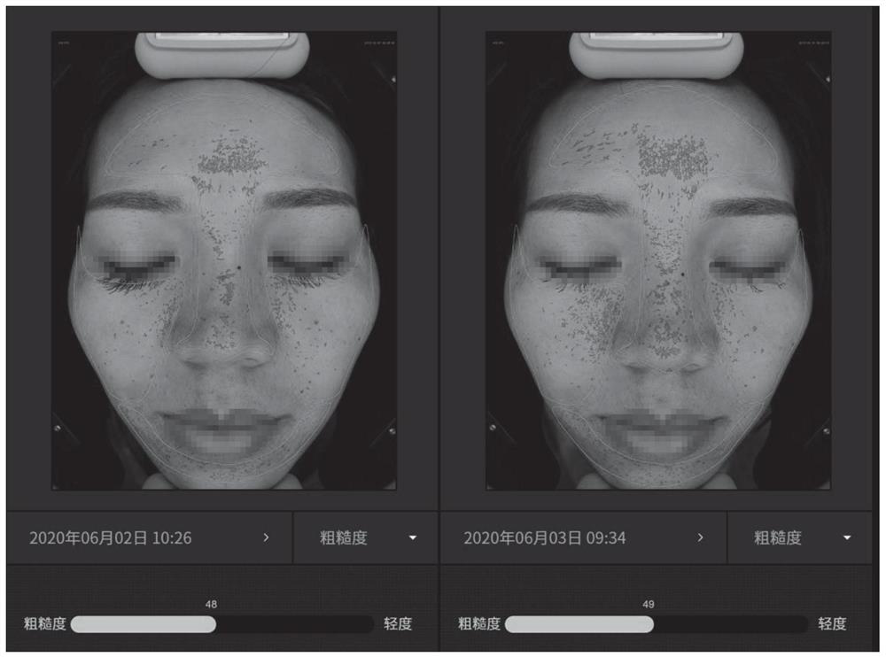 Cosmetic composition containing nanocarbon material