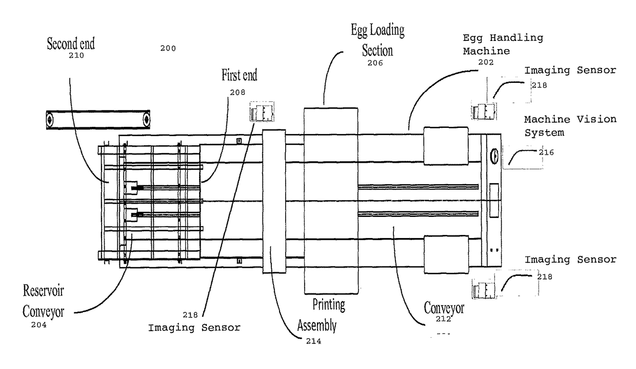 Method and system for applying ink markings on food products